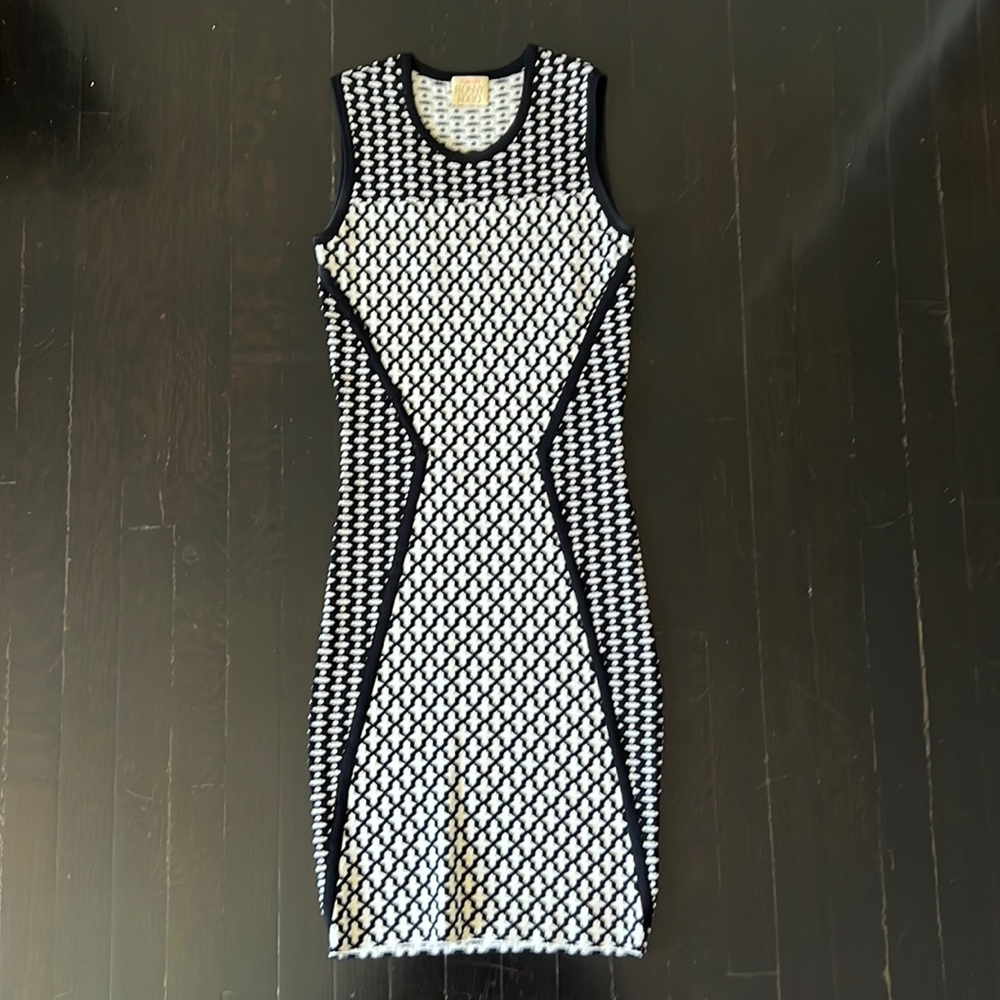 Torn by Ronny Kobo dress